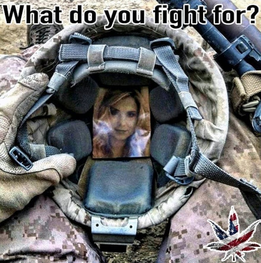 herogrown's tweet photo. Fight for a purpose! 🇺🇸 #HeroGrown #PillsKill #CannabisHeals https://t.co/Z7q03AE4bK