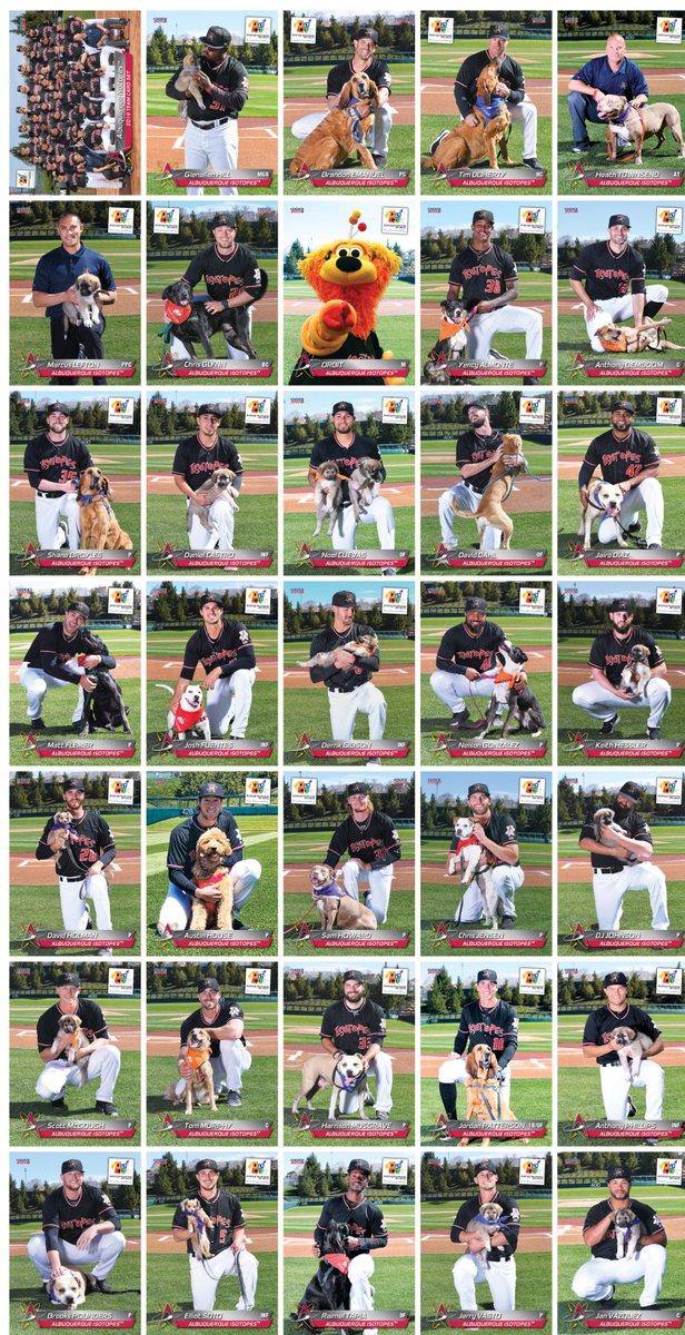 Kevin Collins tweet media