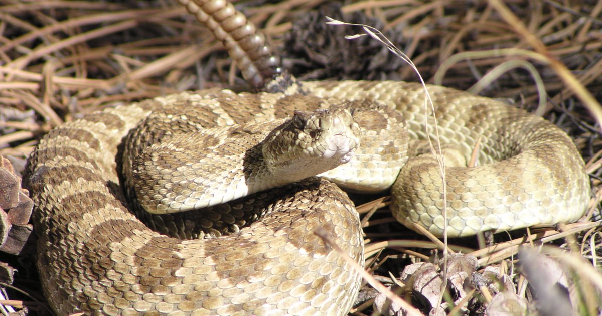 City of Guymon tweet media