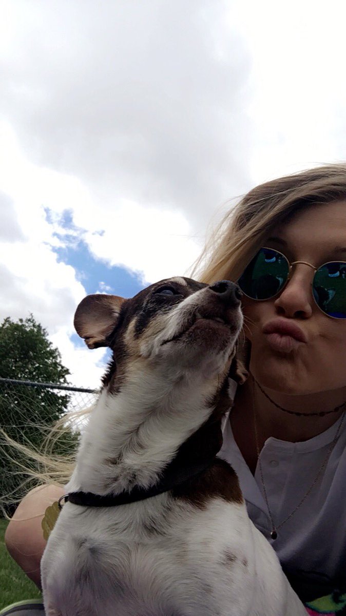 ConnorBrendan's tweet photo. RIP to the best doggo there ever was! 13 years wasn’t long enough!!!! I’ll miss your cute ugly face and your great personality, JAKIE 💕 you impacted our family so much and this is the hardest goodbye https://t.co/tinFpWb1cj