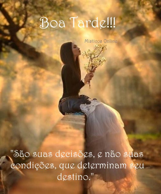 Místicos Online - Boa tarde!!! 💜🦋🥰🙏🦋🦋🦋🌸