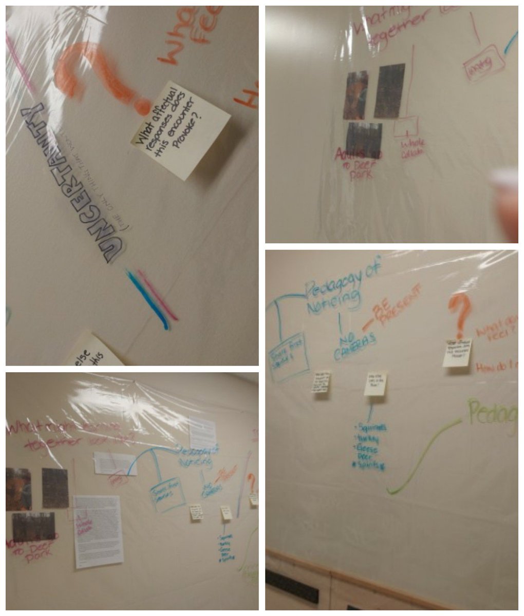 Spent the morning experimenting with documentation #pedagogies #morethanhuman #earlychildhoodeducators