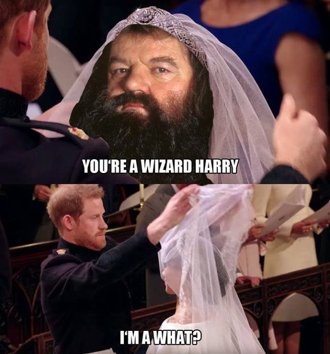 funwall0's tweet photo. Sorry, I'm actually a hazard harry. https://t.co/Y3376PAwXu #funwall https://t.co/Ip8YqNFidL