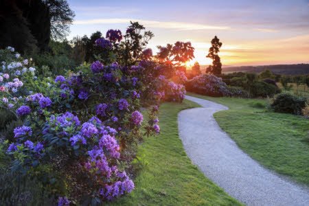 nationaltrust's tweet photo. Make the most of the springtime blossoms and blooms in our best spring gardens: https://t.co/g4jn1Q8dbs https://t.co/zW1N4gxYTs