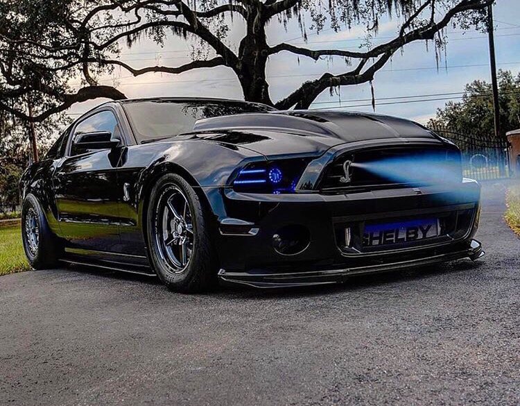 only_mustangs's tweet image. Beast 😈🔥