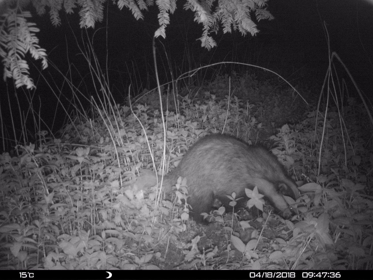 Alastair H-R | Tracker Al tweet media