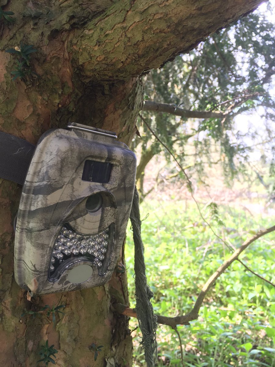 Alastair H-R | Tracker Al tweet media