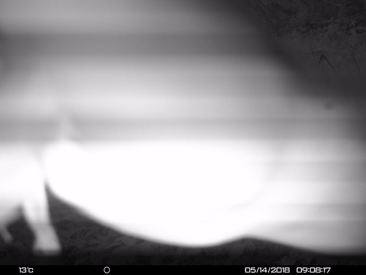 Alastair H-R | Tracker Al tweet media