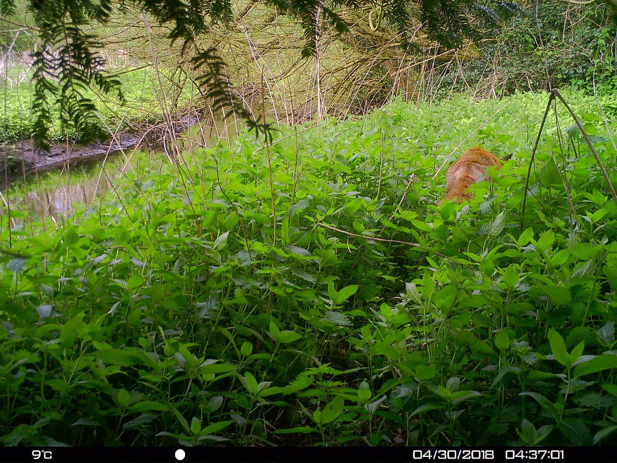 Alastair H-R | Tracker Al tweet media