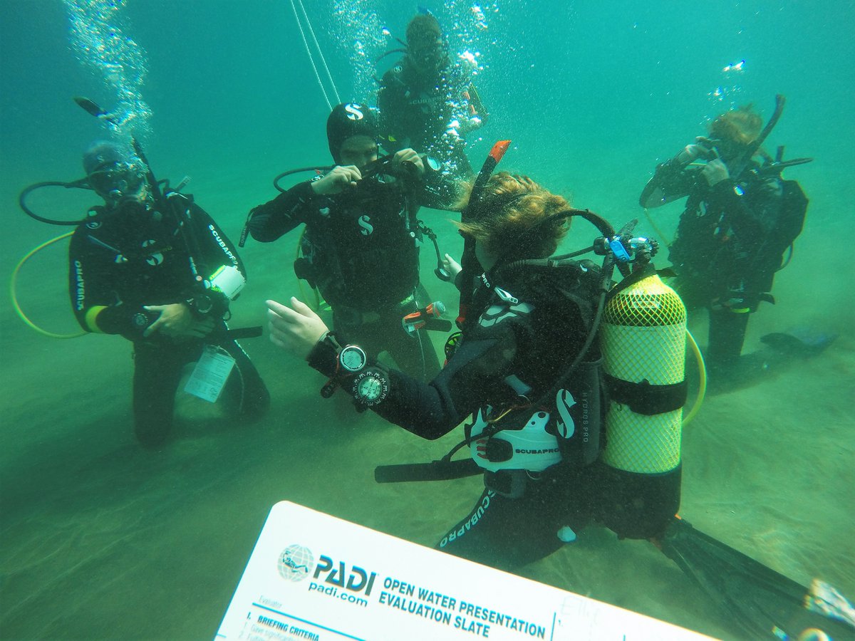 LasAmericasDive's tweet photo. PADI IDC Tenerife Day 7
Today we were back in the #ocean for more Open Water Presentations 

#Tenerife #MYPADI #BeTheBest #GoingTheExtraMile #GoPro #Scuba #Diving #TheNextGenerationOfPADIPros #GTS #BeEpic #CDApproved #CourseDirectorTenerife #PADICourseDIrector https://t.co/buw59IyBtu