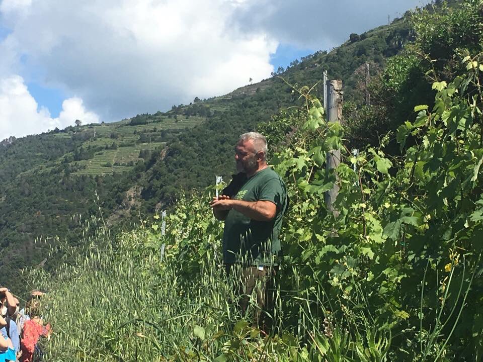 Oggi visita dei vigneti di Cantina Crovara a Manarola.....qui Alessandro il proprietario ci sta parlando del vino delle Cinque Terre.....e poi tutti a degustare in cantina....una mattina meravigliosa!🥂🥂🥂👏🏻👏🏻👏🏻👏🏻@coopts5terre @parco5terre @LucaNatale70 @EnzoResasco