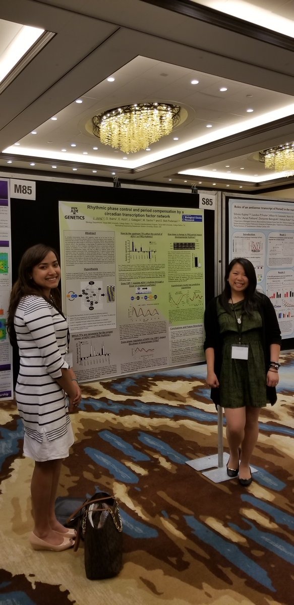 TAMUGENE's tweet photo. Congrats to Jennifer Jung! She was selected to received the 2018 GGSA Travel Award. She attended the 2018 SRBR in FL and presented a poster. Also, she got the chance to meet the 2017 Nobel Laureates, Dr. Michael Young!
We are very proud of you!
#TAMUGENE #GGSA #SRBR2018 https://t.co/vhXCeKzYwg