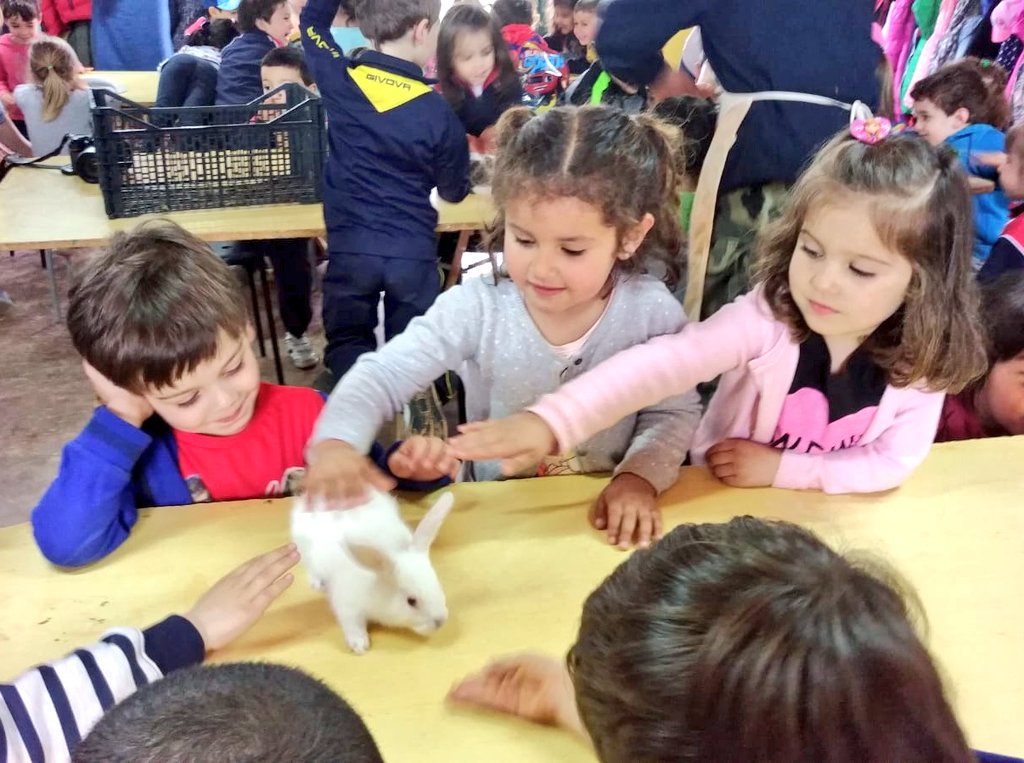 JesuitinasBu's tweet image. ¡Cómo se lo han pasado los pequeños del colegio en la excursión de fin de curso a Olmos de Atapuerca! Barro, animales y amigos. Aunque tienen sólo 3 o 4 años, seguro que no lo olvidan. #ExcursionesFindeCurso #SomosJesuitinas