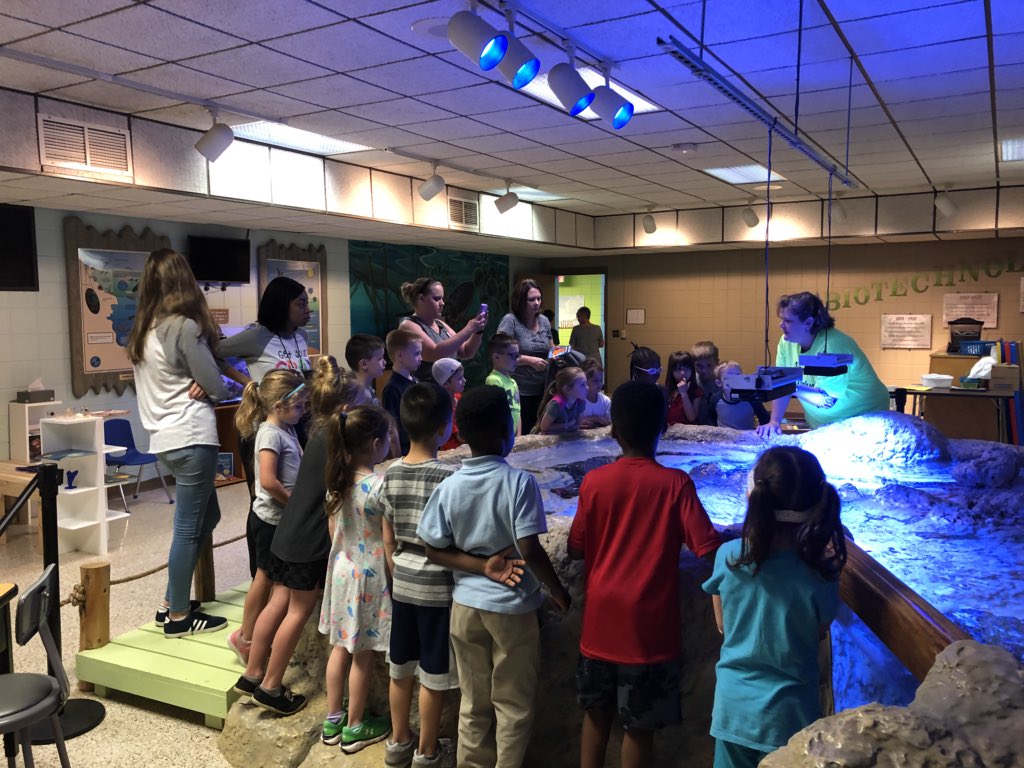 Mrs. Sease FCS tweet media