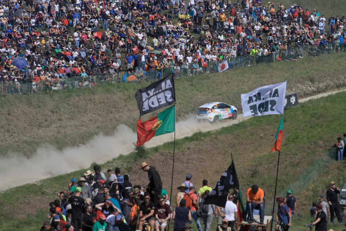 luca bottarelli tweet media
