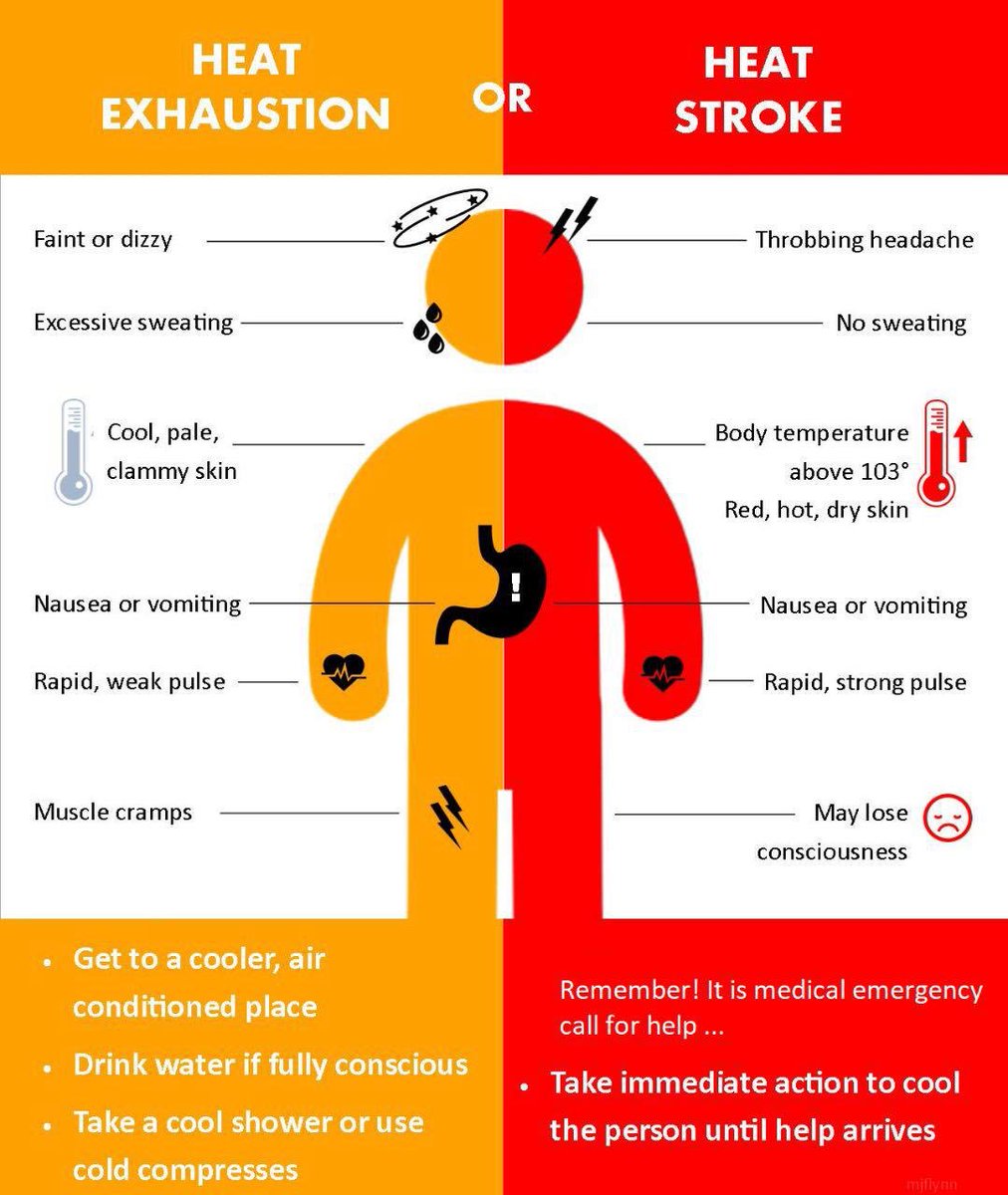 HeavyNorth's tweet photo. Friendly reminder from @HeavyNorth regarding heat safety! Stay hydrated, protect your skin and find shade throughout the day ☀️ https://t.co/aw0hdXtpUZ