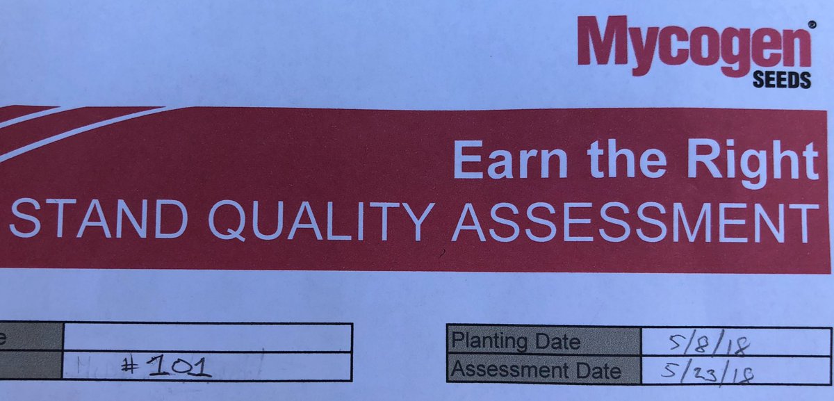 FieldBites's tweet photo. Now is the time to be doing stand quality assessments to understand how emergence might affect your final yield and tweak your post planting management strategy from your net effective stand. #plant18 #MYyield @MycogenSeeds https://t.co/bJgmQy1yKB