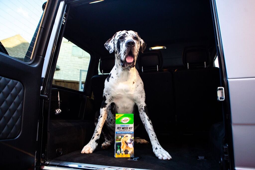H3CZ's tweet photo. Like if you think I use this @TurtleWax Pet Mess Kit for Henry. Retweet if you think I use it because Scump has been using the wagon lately. #TurtleWaxGaming #sponsored https://t.co/nyJm6dF9MZ