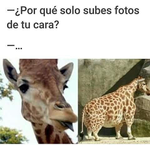 17Emms's tweet image. 