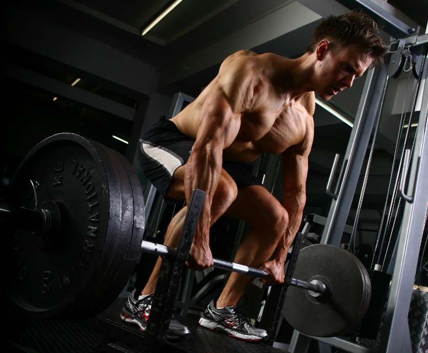 Gym & Fitness World tweet media