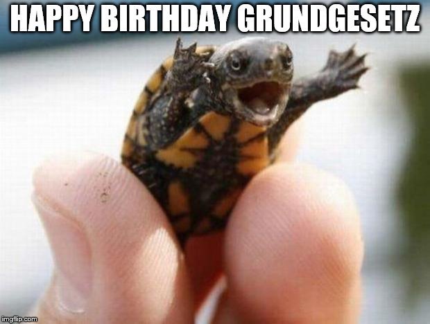 lieb_sein's tweet photo. Da kommt die kleine Schildi fix aus ihrem Häuschen. Das #Grundgesetz wird 69 Jahre und ist frisch wie eh und je.  #HappyBirthday 
#AusDiesemGrund 💖💙💚💛💜🖤
#Liebe69 
#EndeDerEiszeit 
#ReconquistaInternet https://t.co/LsPu4yAgYU