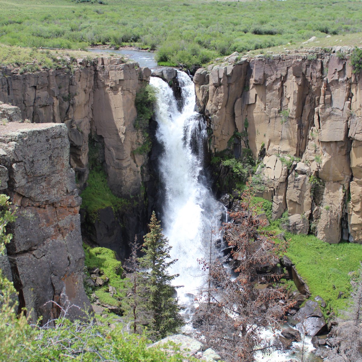 getOutly's tweet photo. “A river cuts through rock not because of its power but because of its persistence.” – Jim Watkins
North Clear Creek Falls
,
,
,
#waterfall #northclearcreekfalls #colorado #waterfallwednesday #publiclands #nature #outside #outsideanalytix #elk #elkcountry #elkscouting #elkhunting https://t.co/Xq3PtztgZq