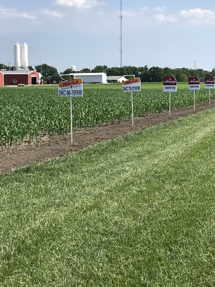 TylerReichmann's tweet image. Dual brand plot signed and looking good at Carlinville North! @MMServiceFS @tschuck1 @tprice70