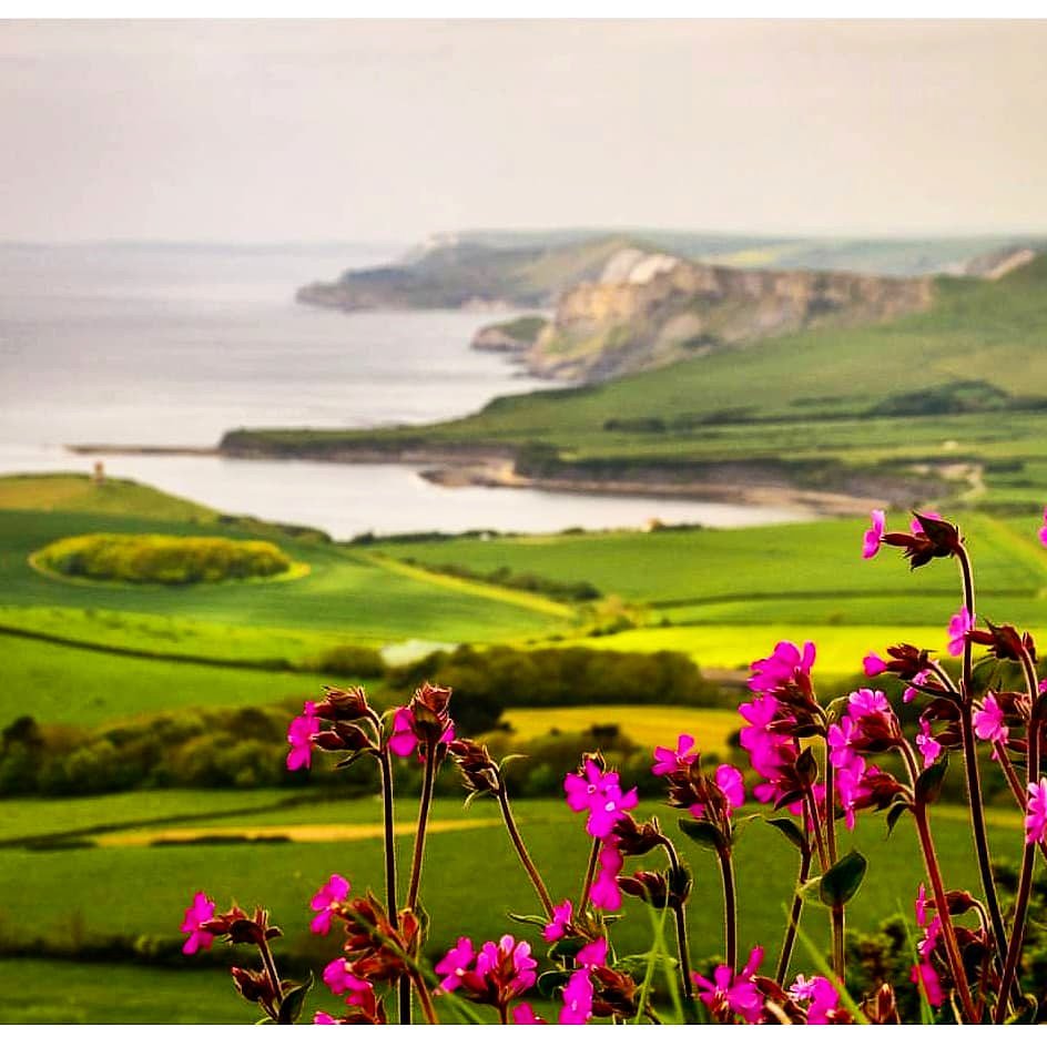 XxFranchescax's tweet photo. Beautiful kimmeridge 👌🏼🏵💜
#dorset #Travel #kimmeridgebeach #coast #southwestcoastpath #stunning https://t.co/6UgaF8HlKU