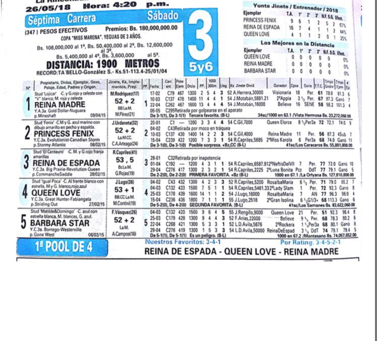 Haraslossamanes's tweet photo. #Hipismo QUEEN LOVE!!! Lista para su prueba de fuego "Copa Miss Marena" Calidad de @Haraslossamanes https://t.co/7IvXCi01VE