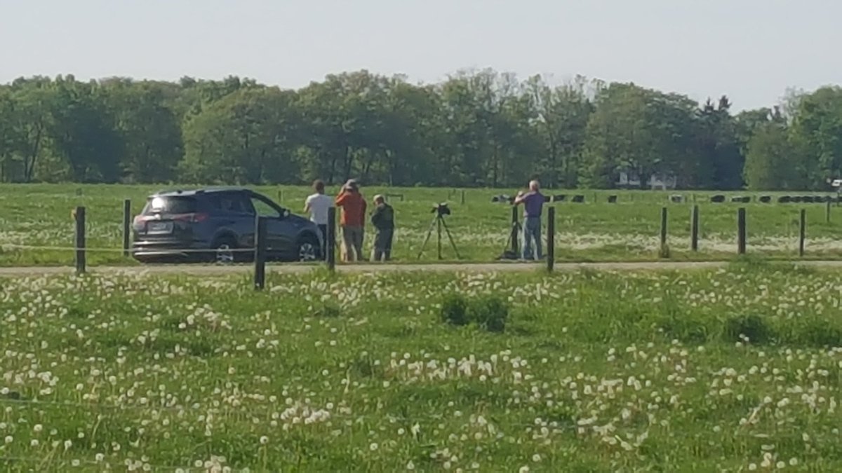 Howard Straub (@robotgrazier) on Twitter photo Birders gathering <a href="/KelloggBioStn/">W.K. Kellogg Biological Station</a> Pasture Dairy Center after sighting a Scissor Tailed Flycatcher! #birdsandpasture #KBSsummer Birders gathering <a href="/KelloggBioStn/">W.K. Kellogg Biological Station</a> Pasture Dairy Center after sighting a Scissor Tailed Flycatcher! #birdsandpasture #KBSsummer