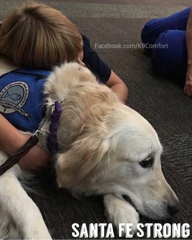 #SantaFeHighSchool #SantaFeStrong #dogsofinstagram #k9comfortdogs