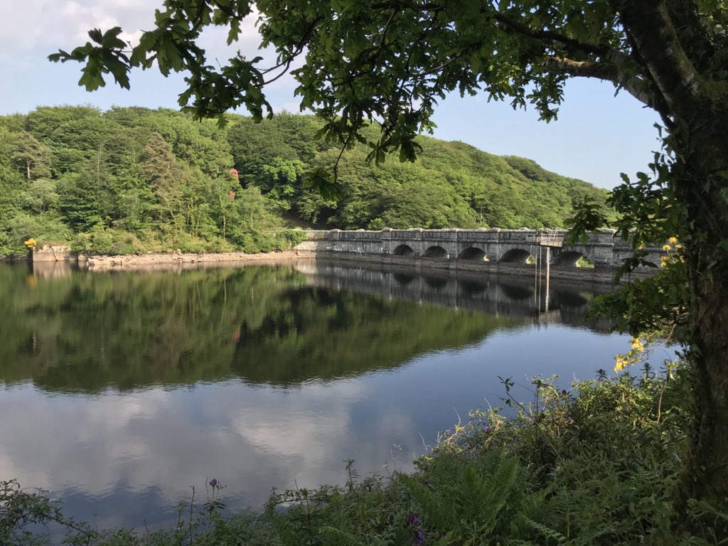 Glorious Dartmoor #NaturePhotography #nature #landscapes #summer #excursion #walking #bluebells #reservoir #englishuk