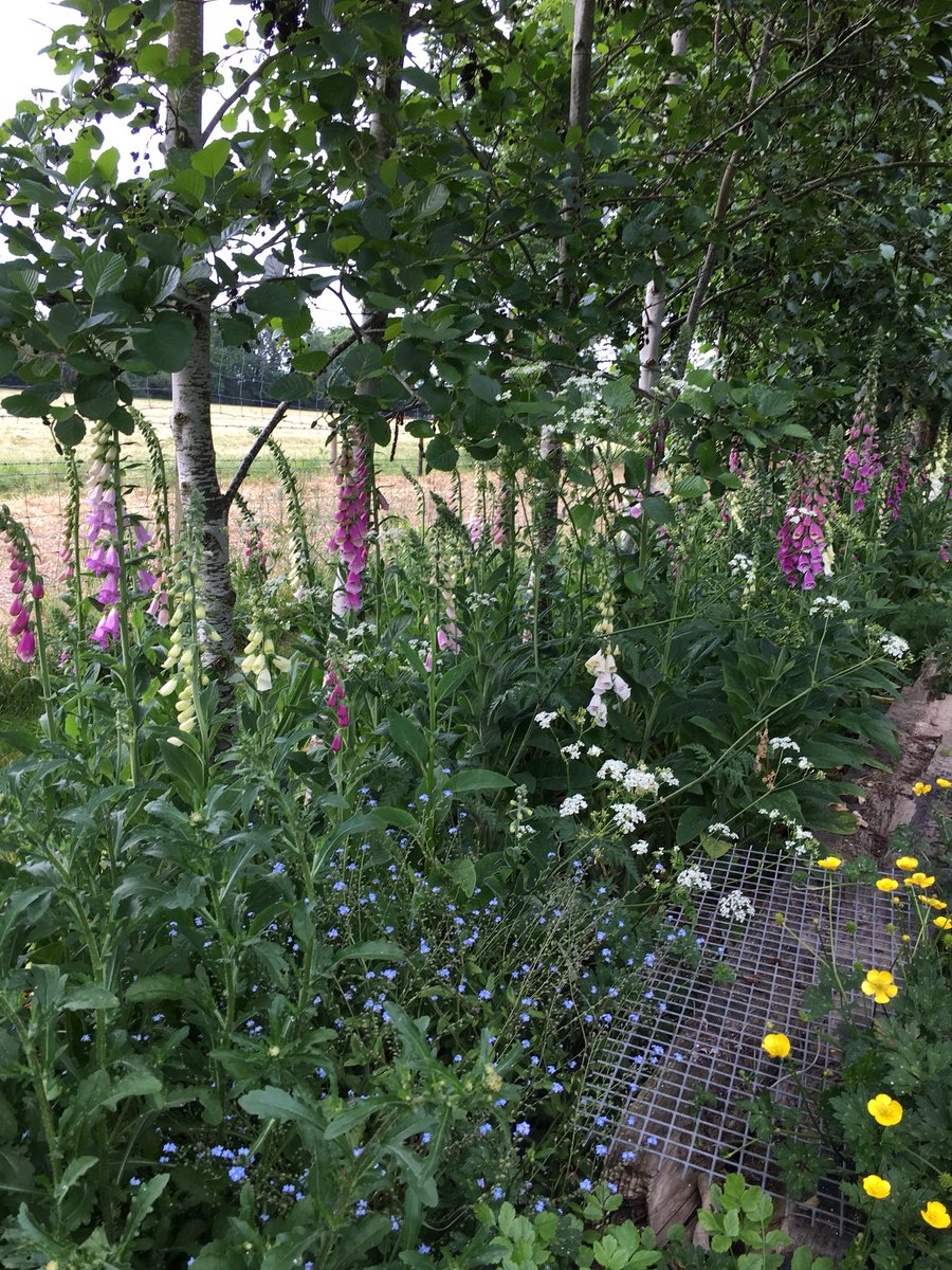 Lovely chilled evening learning about #pranic healing followed by tea and cake <a href="/chelseafringebf/">Chelsea Fringe Bracknell Forest</a> <a href="/ChelseaFringe/">Chelsea Fringe</a> in the lovely setting of Jealotts Hill Community Landshare