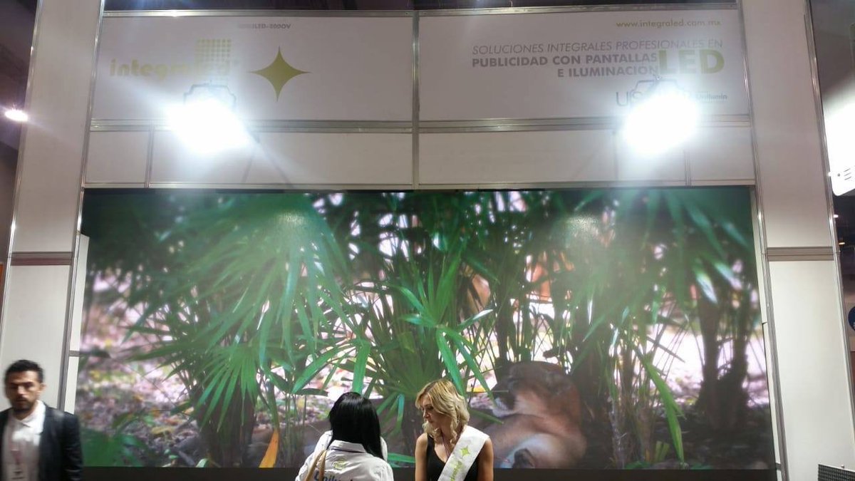 integraledmx's tweet photo. ¡Visítenos en nuestro Stand No. 415 en Expo Publicitas y encuentra las mejores soluciones en pantallas para tus proyectos y producciones!
#Integraled
#PantallasLED
#ExpoPublicitas2018 https://t.co/1cY7G2GSP7