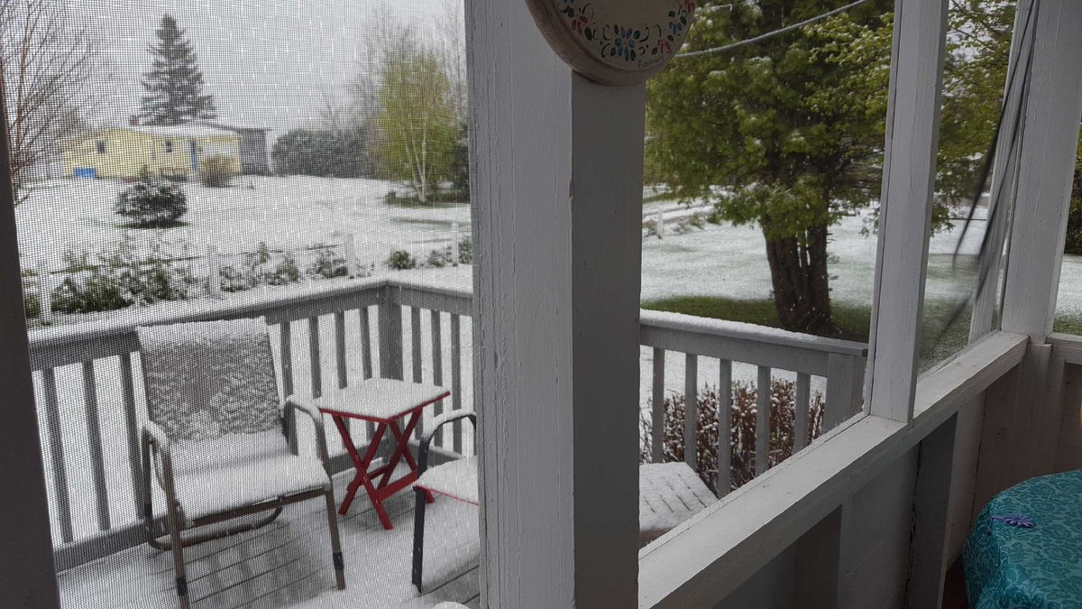 Lorrain83447307's tweet photo. @KalinMitchelCTV @CTVAtlantic  https://t.co/RoYZNjgO0b