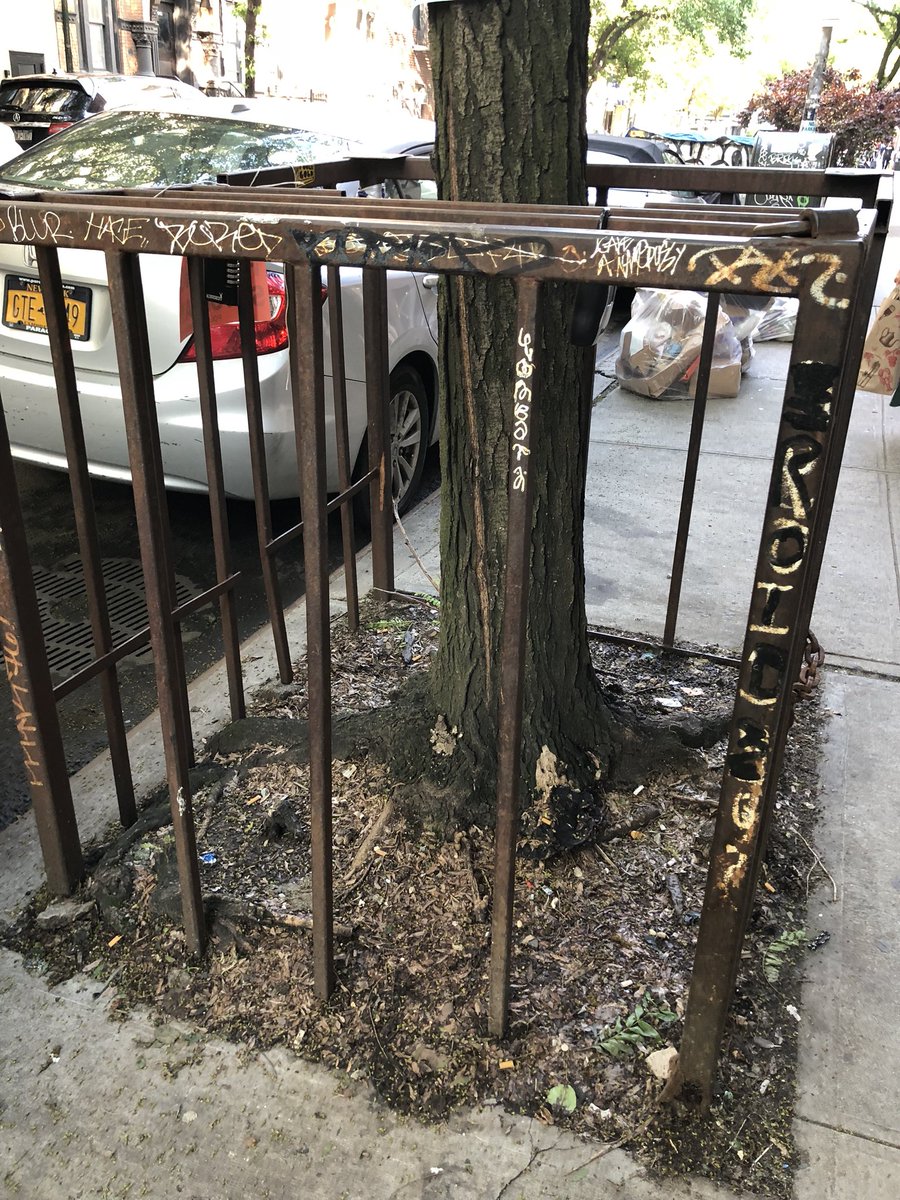 tree prison.