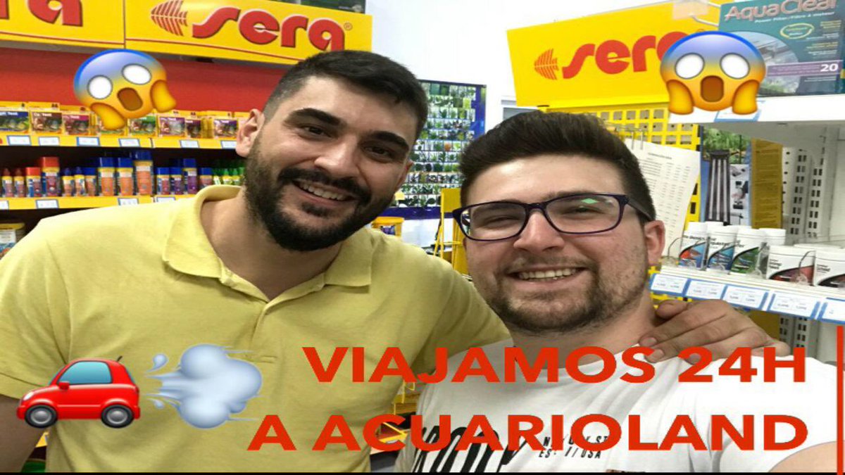 ACUARIOSESP's tweet image. Nuevo vídeo en el canal de YouTube! Viaje exprés de 24h a ACUARIOLAND! 😱  🚗💨  2️⃣4️⃣⏰

youtu.be/lB3KtkHK-Dg