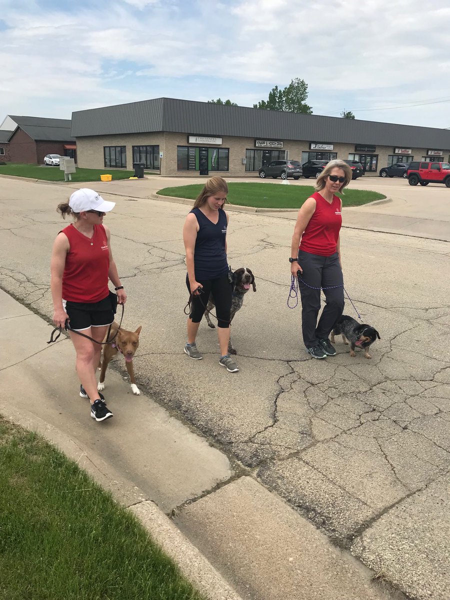 YourDogsHero's tweet photo. Learning to walk and mind their own business. It’s a challenge for the sassy-pants on the right side! https://t.co/5fcX0V82WN