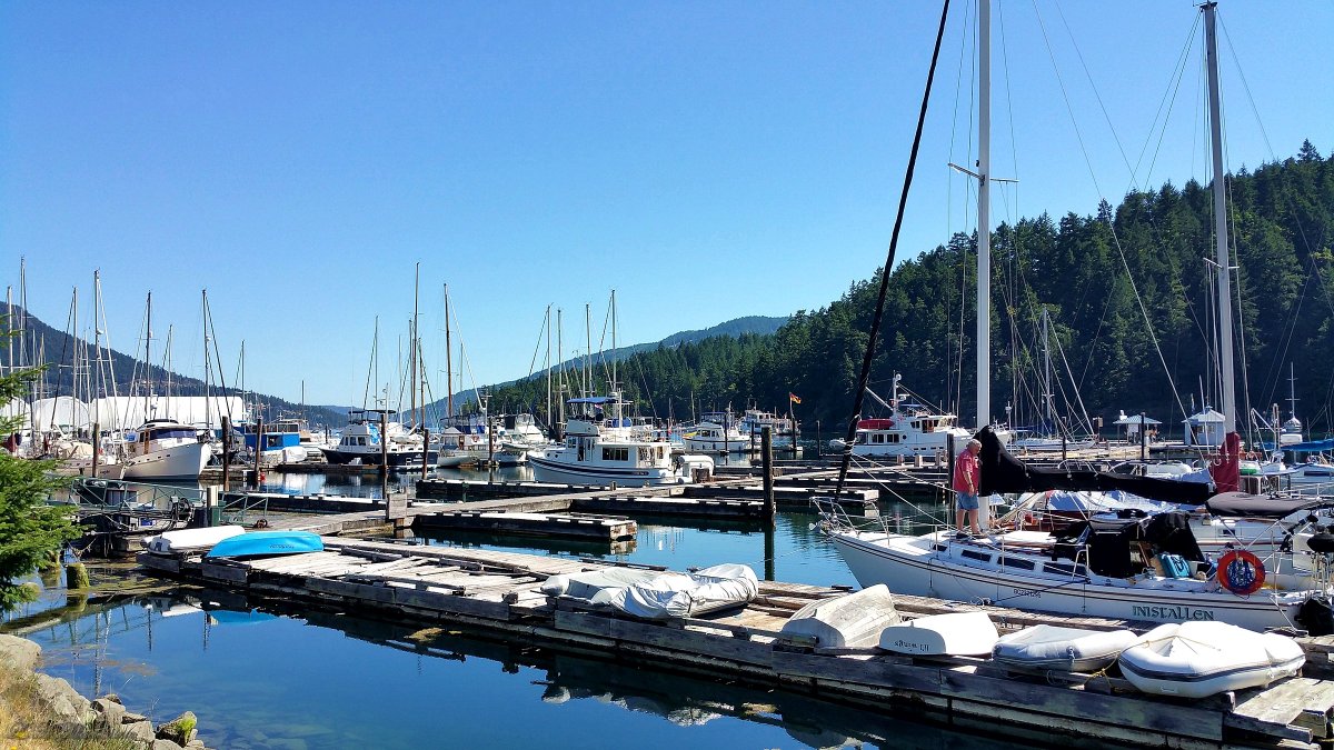 A Sunny Day in Maple Bay ⚓⛵🌲🌞 #maplebaybc #vancouverisland 
#explorevancouverisland #sunshine #marina #britishcolumbia #canada 🇨🇦