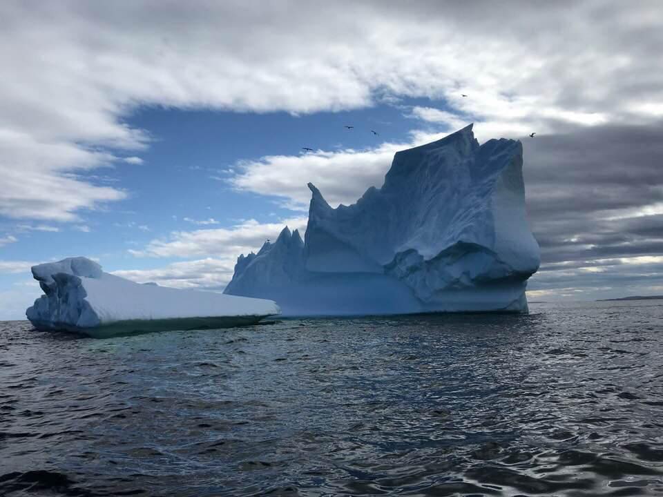 IcebergFinder.com tweet media