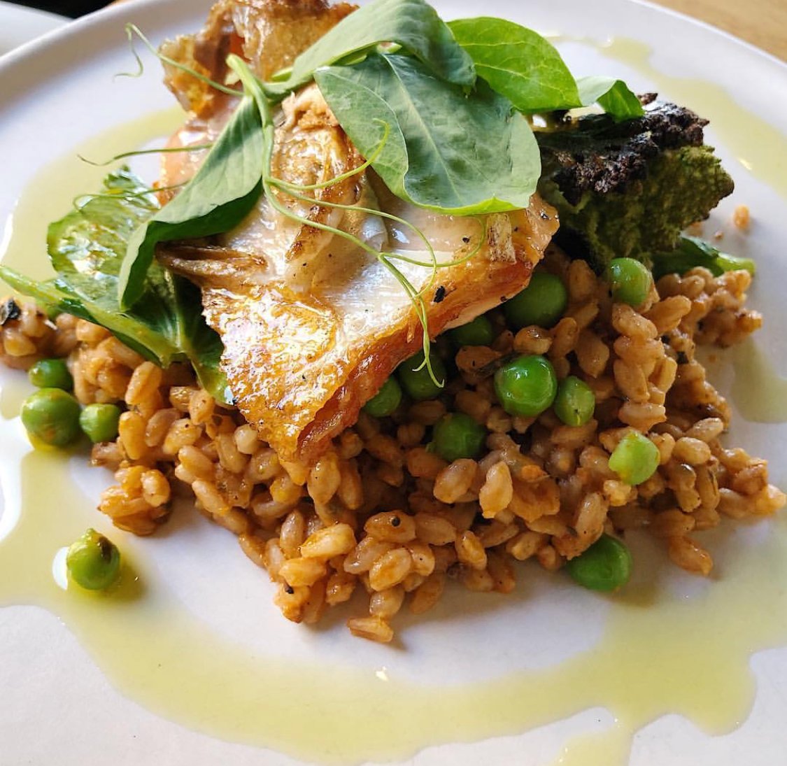 ARcucina's tweet photo. Sea trout with romanesco al forno, farro, english peas, trapanese almond pesto #arcucina  #culvercity https://t.co/moLeDdTvIA @AkashaRichmond https://t.co/qCucrQvp8h