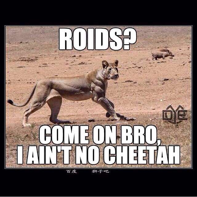 Gym & Fitness World tweet media