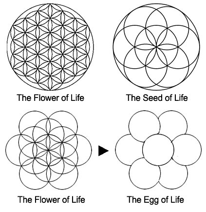 #seedoflife #eggoflife #floweroflife