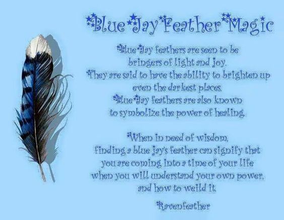Sister Spell Binder Blue Jay Feather Magick