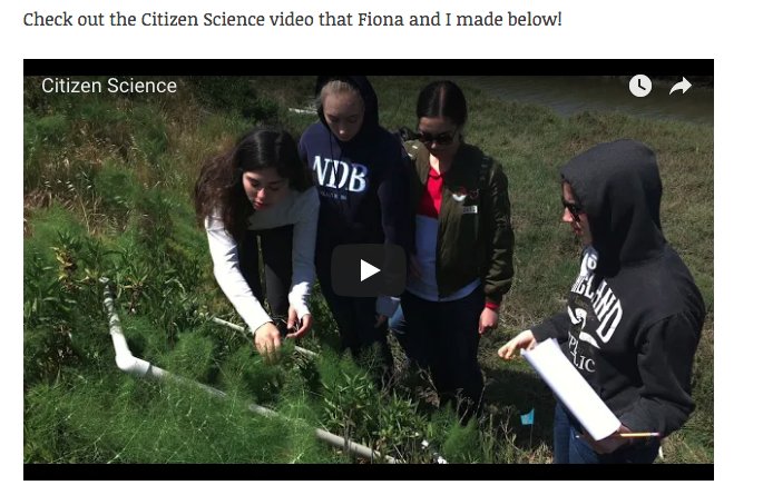 annagranucci18's tweet image. Get involved and assert your scientific knowledge into the community! Citizen science is extremely important to our society and every piece of data collected, no matter how insignificant it may seem, is vital to research. Check out my blog to see annagranucci.wordpress.com/2018/05/23/cit… #apbio3