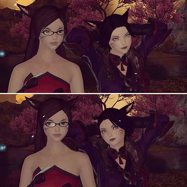 Feyvolta's tweet photo. The faces you and your bestie make when someone is chatting straight bullshit to you but you both play along while lowkey judging.
Waifu has the side eye down to a fine art.
#finalfantasyxiv #finalfantasy14 #stormblood #ff14 #ffxiv #skylarmog #taliasnow… https://t.co/Ox7rKOLHus https://t.co/DAVqxdPLi8