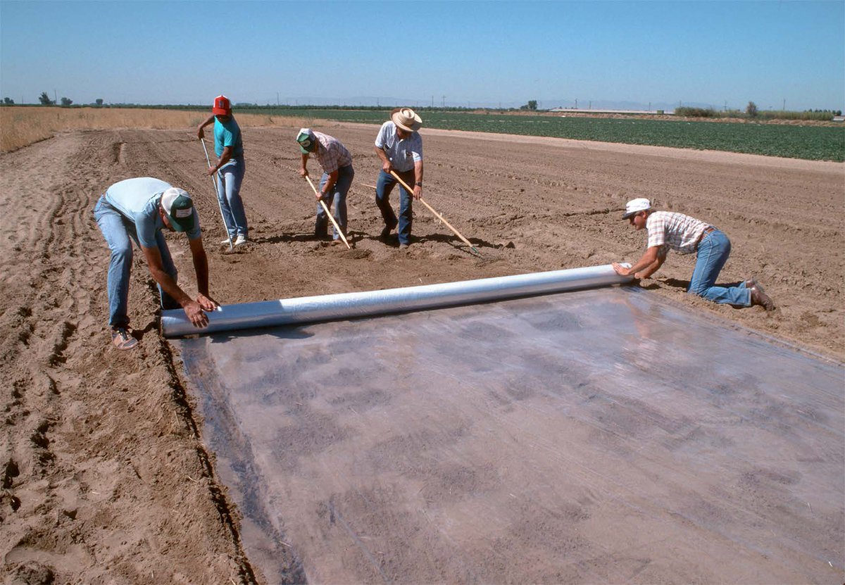 ucanr's tweet photo. Interested in #SoilSolarization & #biosolarization to control weeds & pathogens? Join #organic farmer Paul Underhill & #UCCE solarization specialist Dr. Jim Stapleton for demo & discussion on Tuesday June, 12 4-6pm in Dixon, CA. No charge but RSVP at:
https://t.co/15sFlajPaJ https://t.co/wZdJ3LR1QB