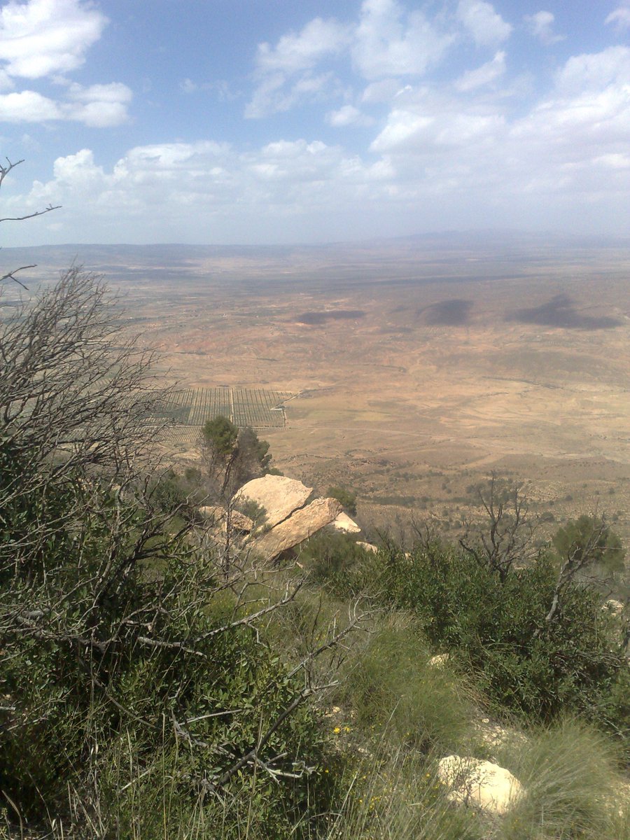 SmidaSamali's tweet image. 