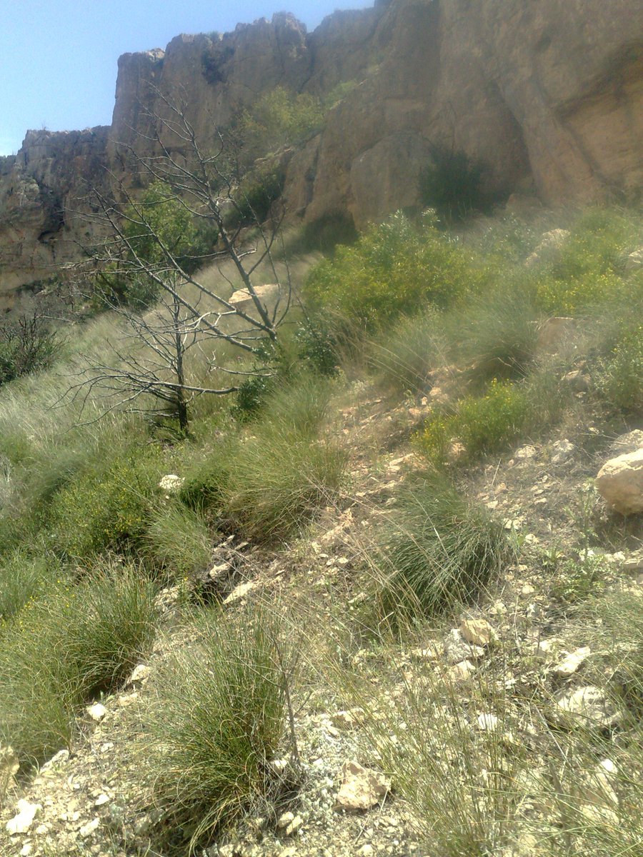 SmidaSamali's tweet image. 