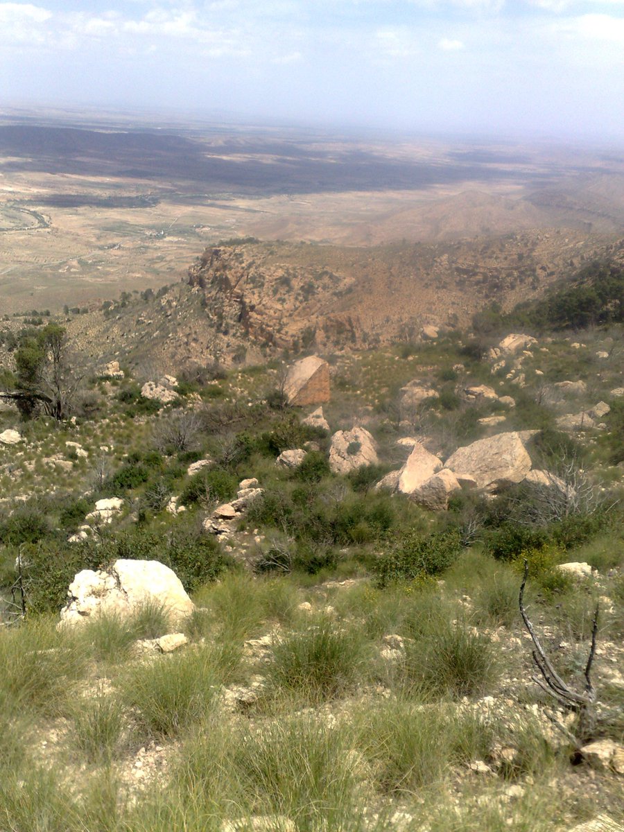 SmidaSamali's tweet image. 